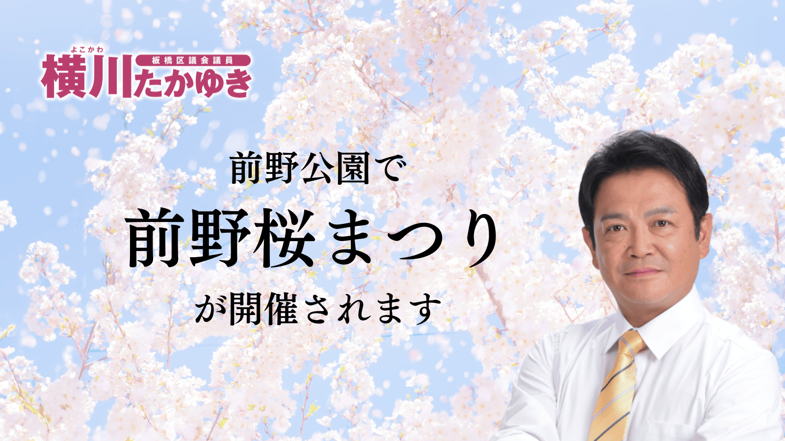 【2026年】前野公園で「前野桜まつり」が3月29日（日曜日）開催されます【板橋区議会議員 横川たかゆき】