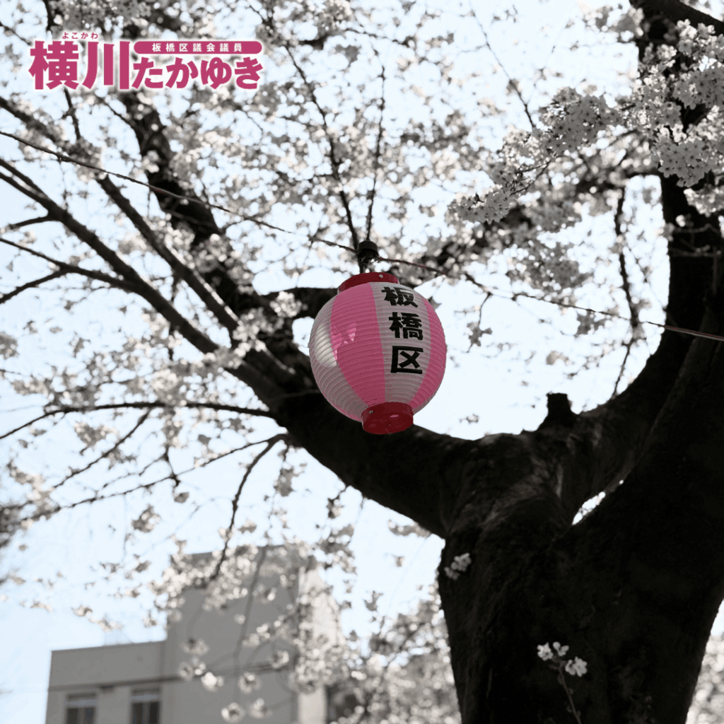 【第35回】今年も前野公園で「前野桜まつり2026」が無事に開催されました(板橋区議会議員 横川たかゆき)