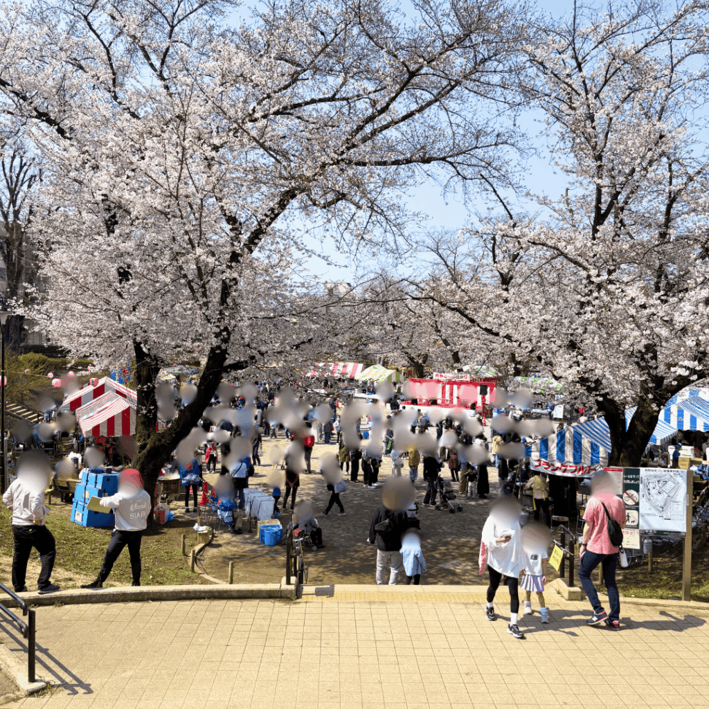 【第35回】今年も前野公園で「前野桜まつり2026」が無事に開催されました(板橋区議会議員 横川たかゆき)