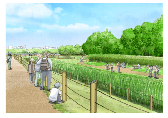 【板橋区】荒川の水辺を活かしたまちづくりへ「板橋区かわまちづくり基本計画」を策定（板橋区議会議員　横川たかゆき）