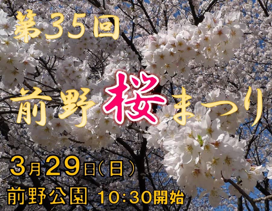 【2026年】前野公園で「前野桜まつり」が3月29日（日曜日）開催されます【板橋区議会議員 横川たかゆき】